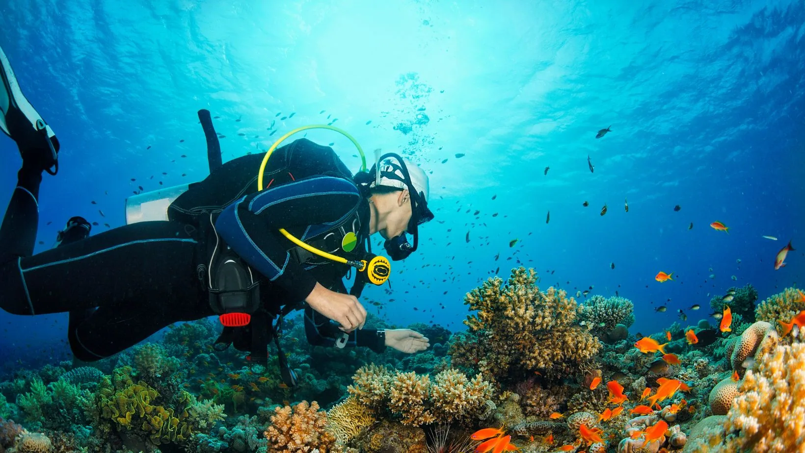 Scuba diver swimming underwater